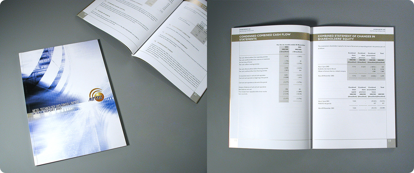 NETEL Technology Holdings Group Annual Report Design